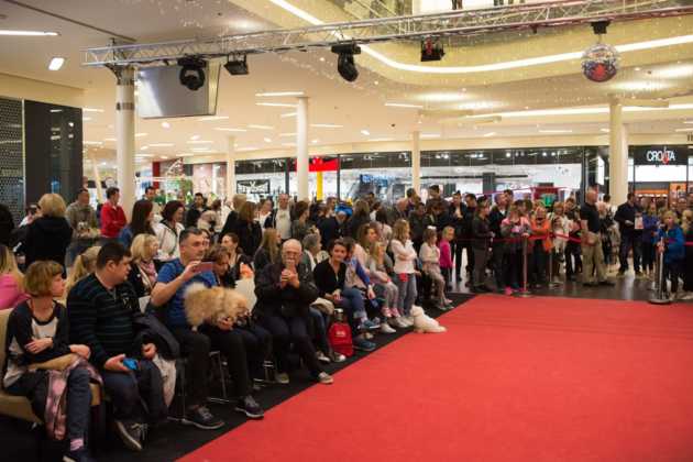 Sajam Kućnih Ljubimaca West Gate5