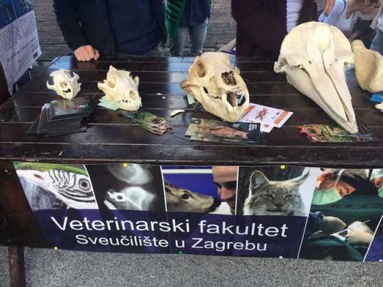 Međunarodni Dan Zaštite Životinja 2017 15