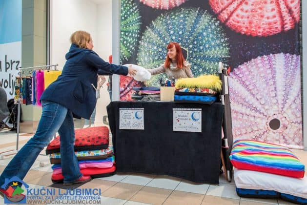5. Vau Vikend 2018. King Cross Amaterska Izlozba Pasa 16