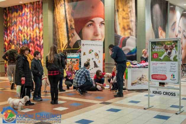 5. Vau Vikend 2018. King Cross Amaterska Izlozba Pasa 25