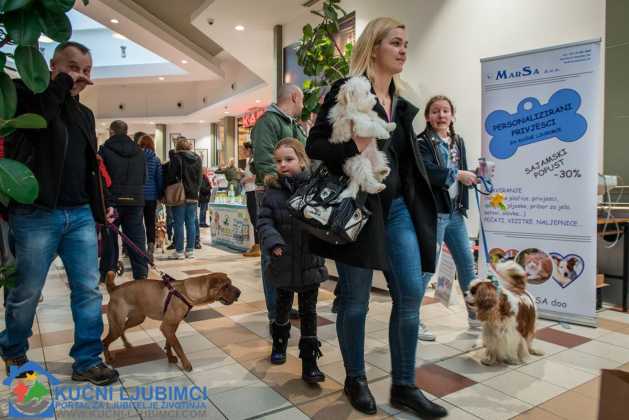 5. Vau Vikend 2018. King Cross Amaterska Izlozba Pasa 27