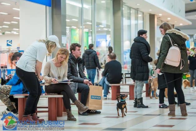 5. Vau Vikend 2018. King Cross Amaterska Izlozba Pasa 4