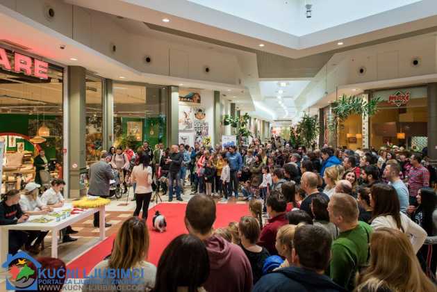 5. Vau Vikend 2018. King Cross Amaterska Izlozba Pasa 48