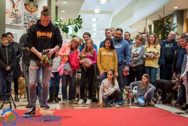 5. Vau Vikend 2018. King Cross Amaterska Izlozba Pasa 51