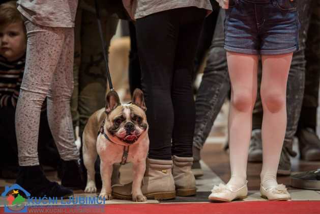 5. Vau Vikend 2018. King Cross Amaterska Izlozba Pasa 64