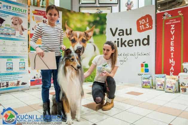 5. Vau Vikend 2018. King Cross Amaterska Izlozba Pasa 73