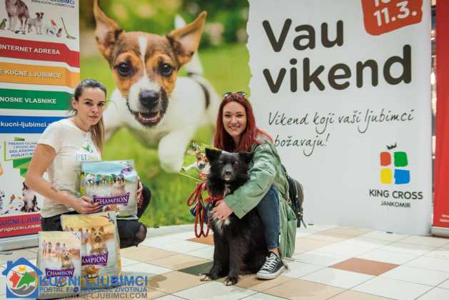 5. Vau Vikend 2018. King Cross Amaterska Izlozba Pasa 78