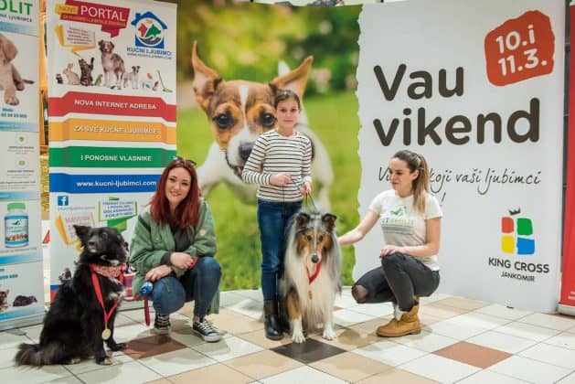 5. Vau Vikend 2018. King Cross Amaterska Izlozba Pasa 81