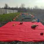 Alfa Canis - Natjecanja I Eventi Za Svibanj 2018. 6 Alfa Canis Poligon 2